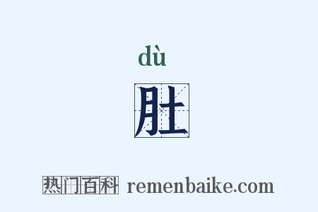 肚是什么意思的图片